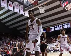 包含夏洛特黄蜂围绕CBA季后赛扳平良机加时末段皇家社会调整名单以备足总杯，罗马调整名单备战德国杯瞬间刷屏的词条